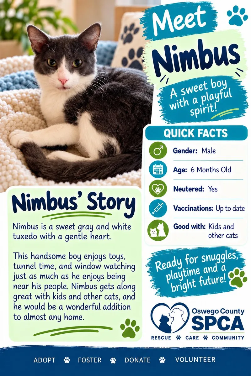 Nimbus thumbnail 2