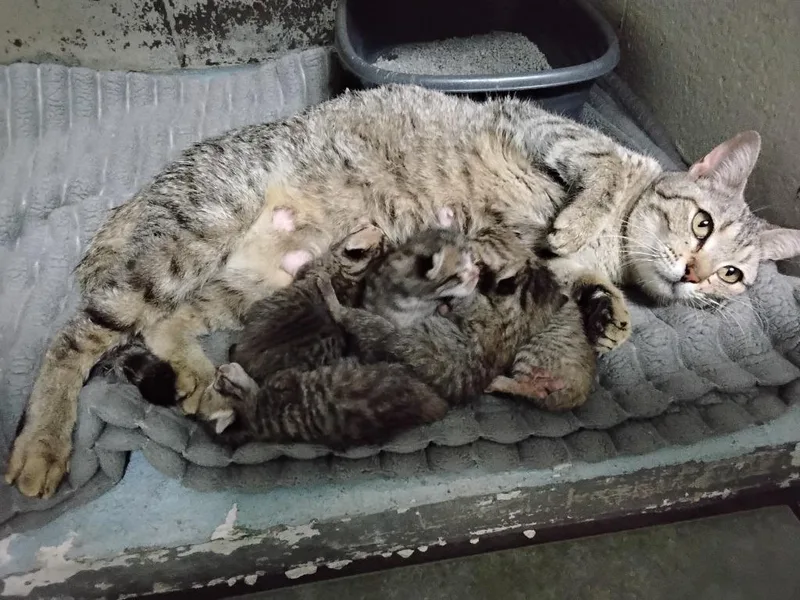 Chaelynn thumbnail 2