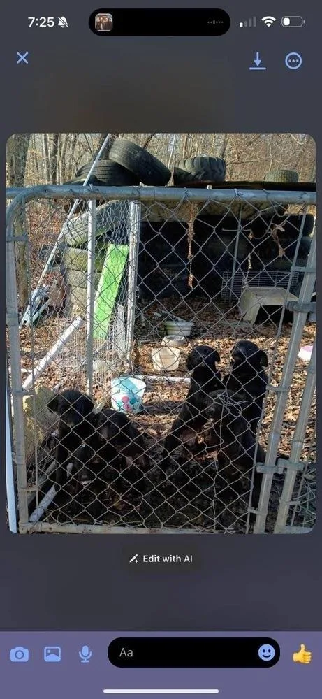 Garbage Pail Kids : thumbnail 2