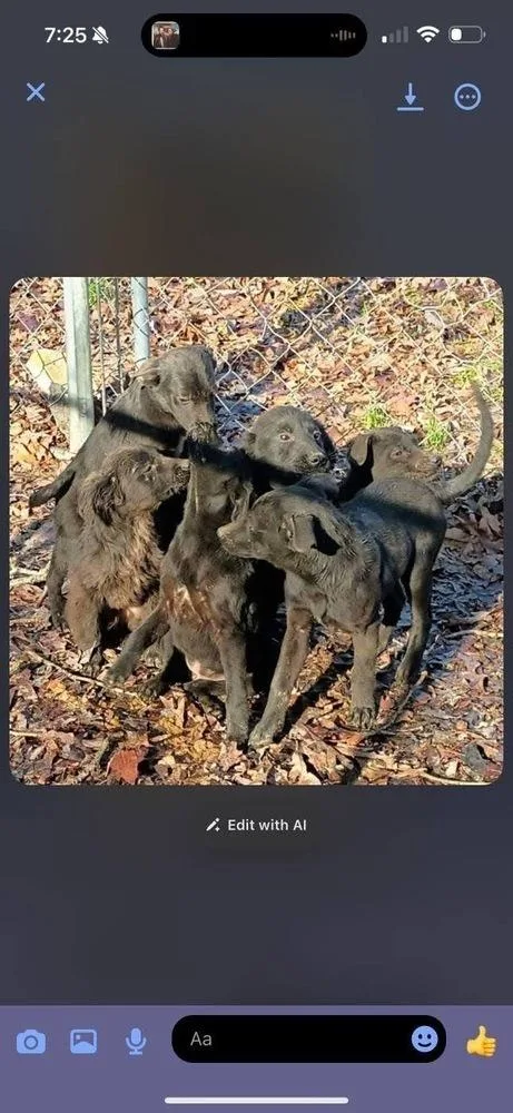 Garbage Pail Kids : thumbnail 3