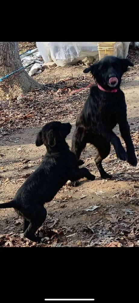 Garbage Pail Kids : thumbnail 4