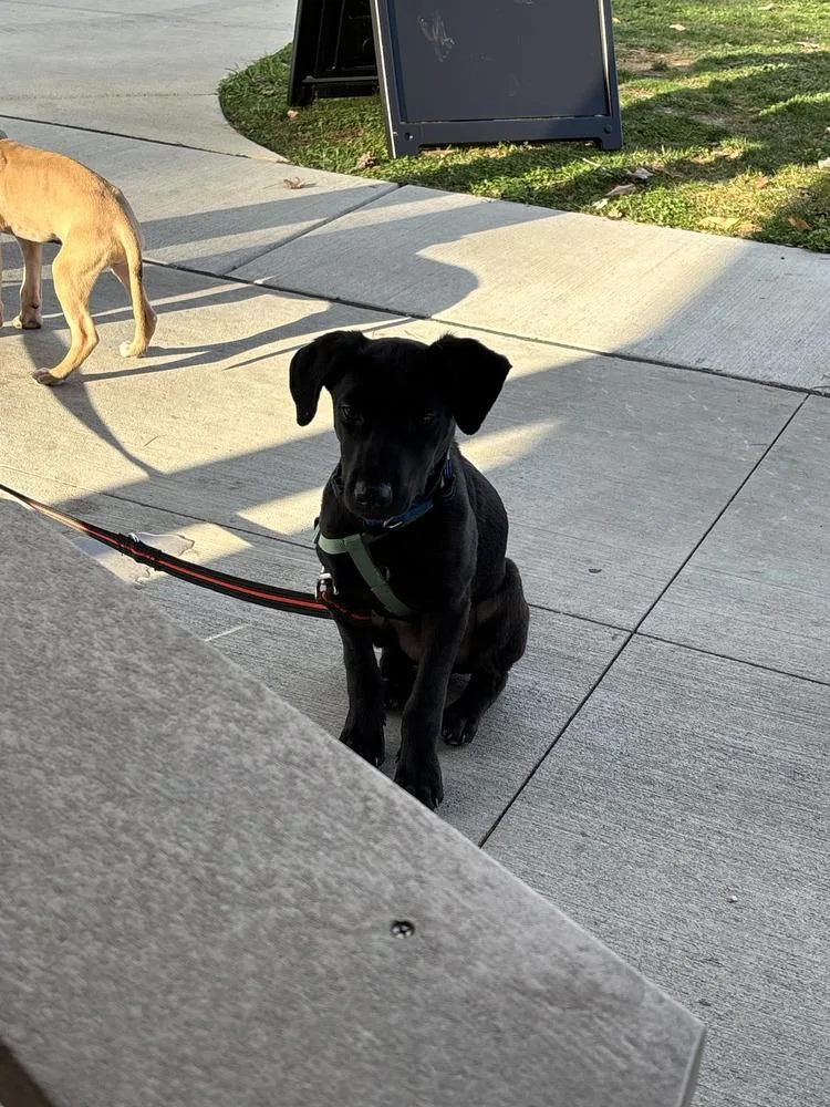 Garbage Pail Kids : thumbnail 5