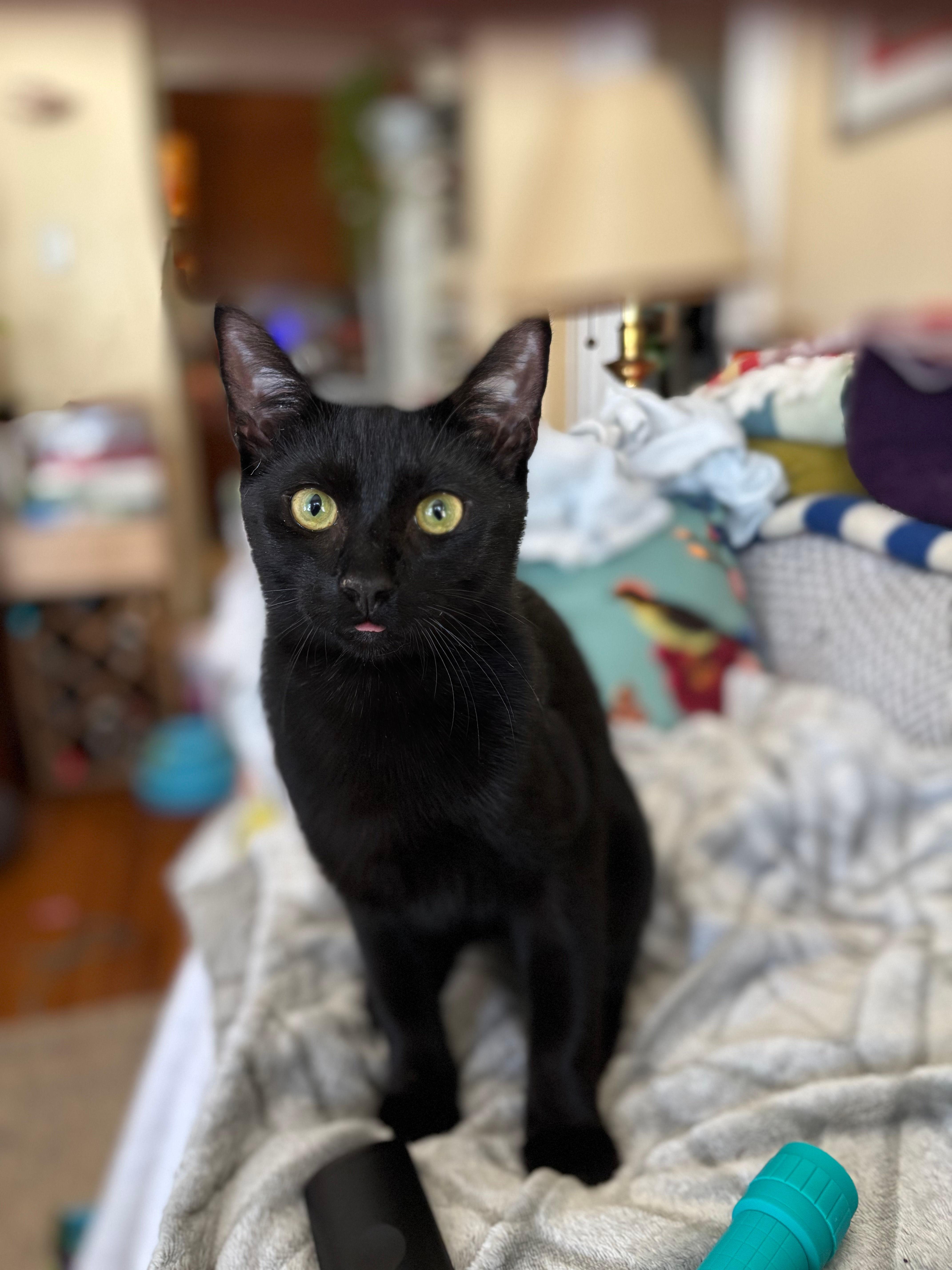 Geoffrey