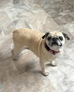 Bridgette thumbnail 2