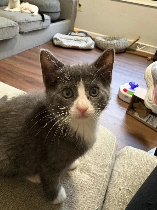Luna