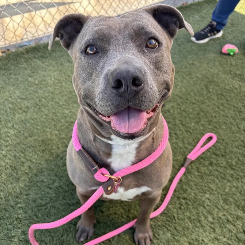 Cindy Lou thumbnail 3