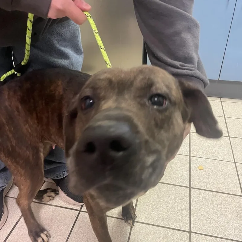 Lisa Frank thumbnail 2