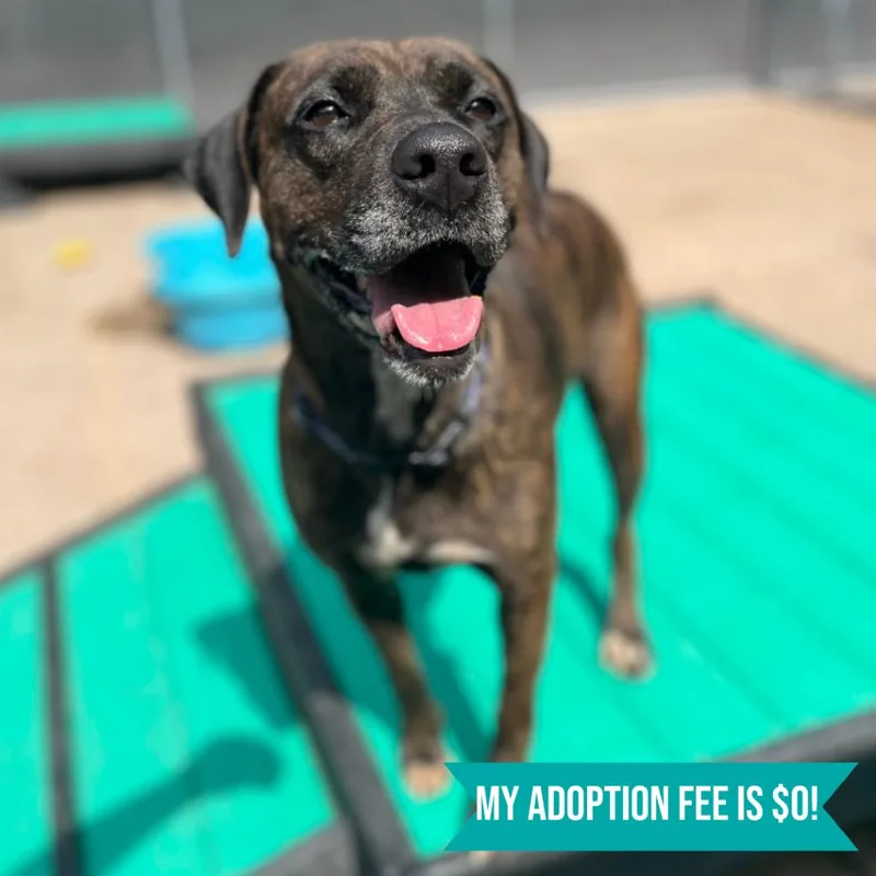 Lisa Frank thumbnail 3