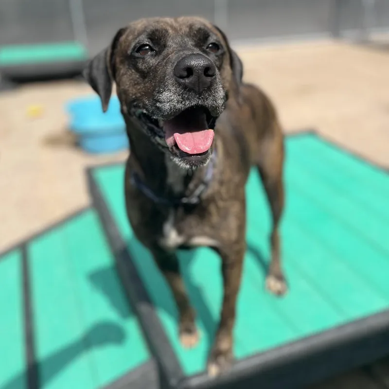 Lisa Frank thumbnail 4