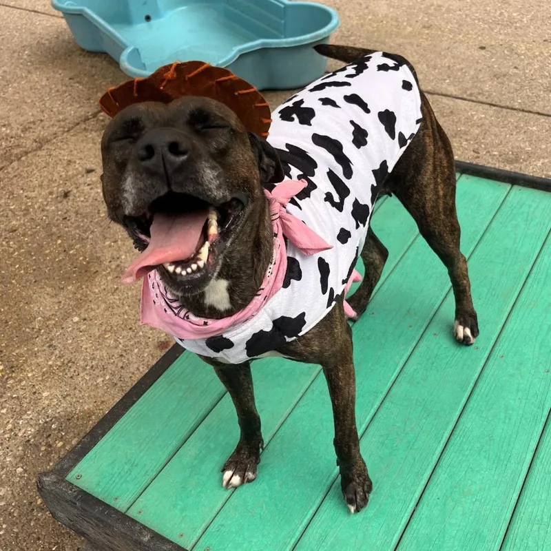 Lisa Frank thumbnail 5