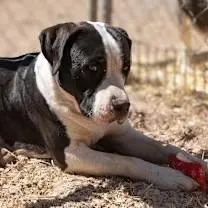 Zeus
