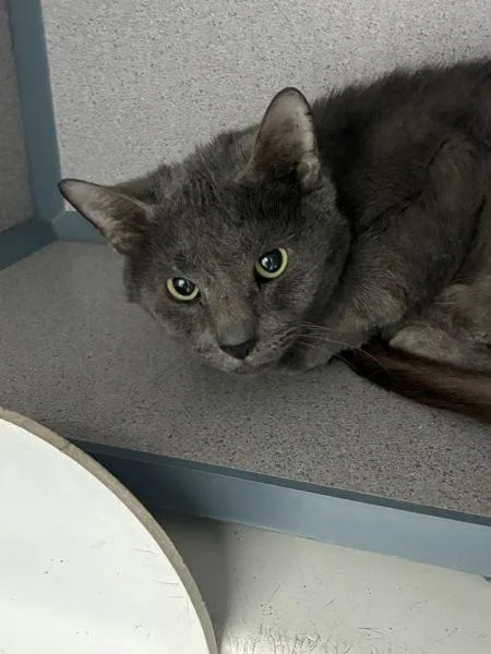 Scribble thumbnail 2