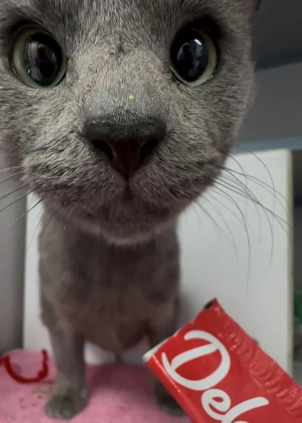 Scribble thumbnail 3