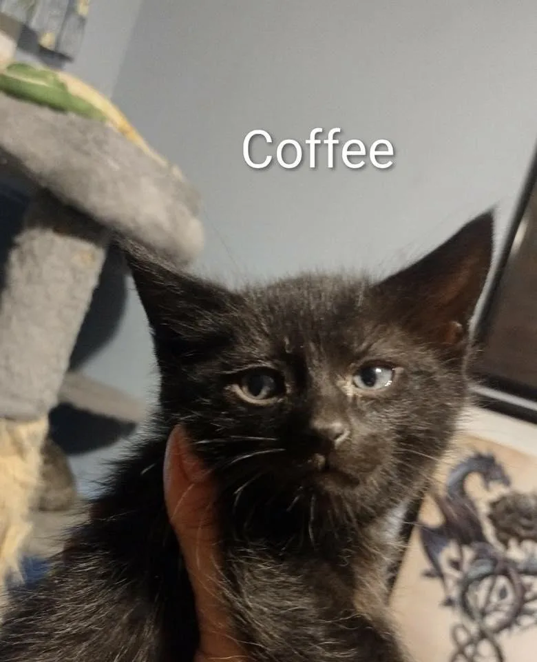 Coffee thumbnail 3