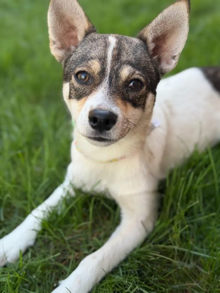 Ms Rachel thumbnail 2