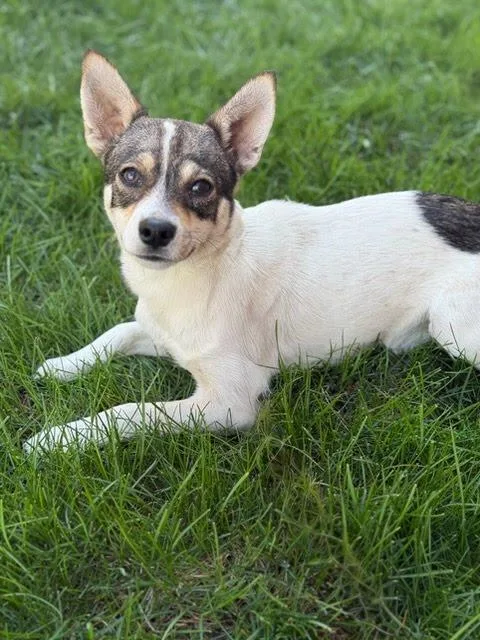 Ms Rachel thumbnail 3