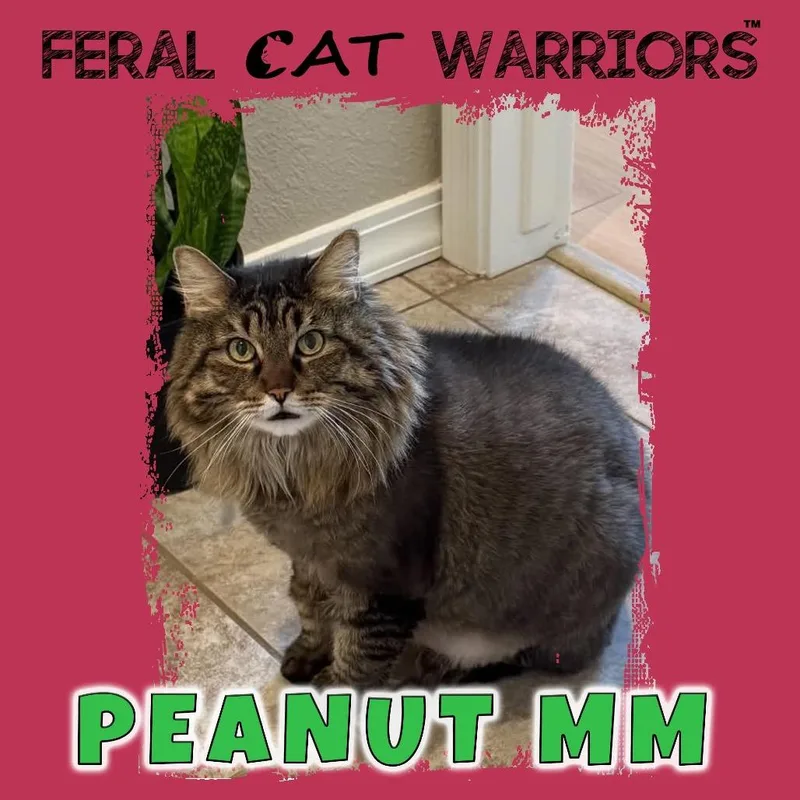Peanut mm thumbnail 3
