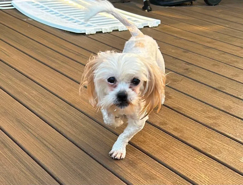 Max