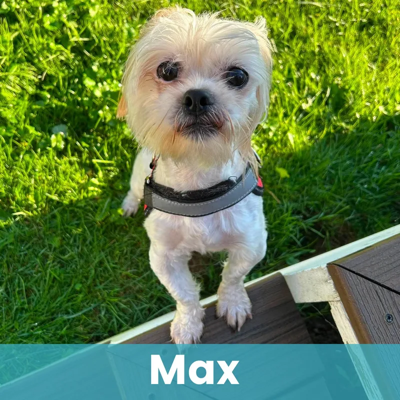 Max thumbnail 5