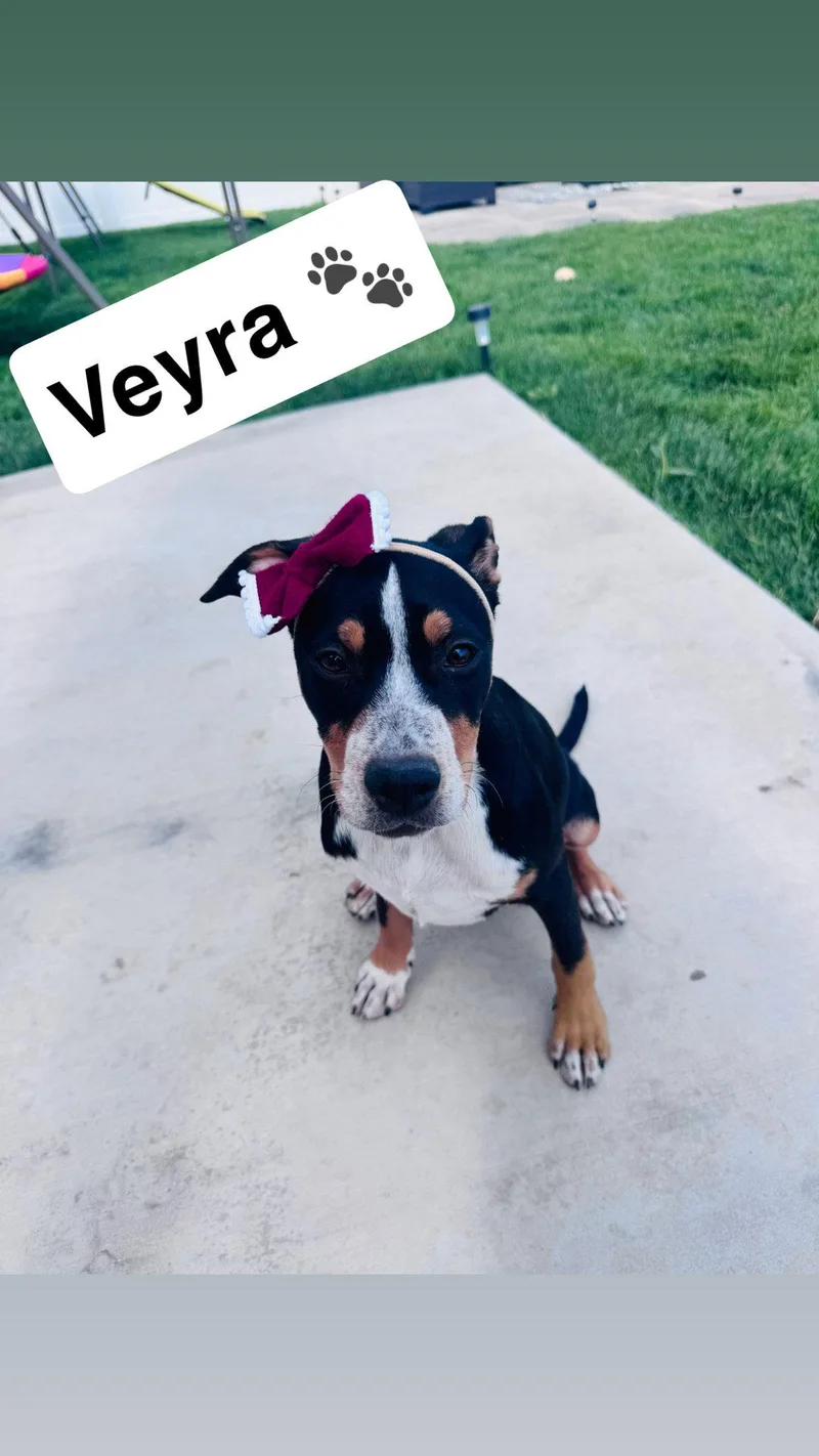 Veyra thumbnail 2