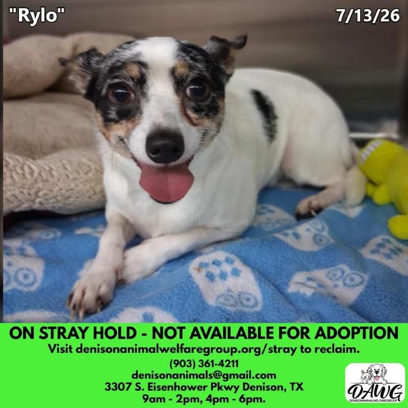 Rylo thumbnail 2
