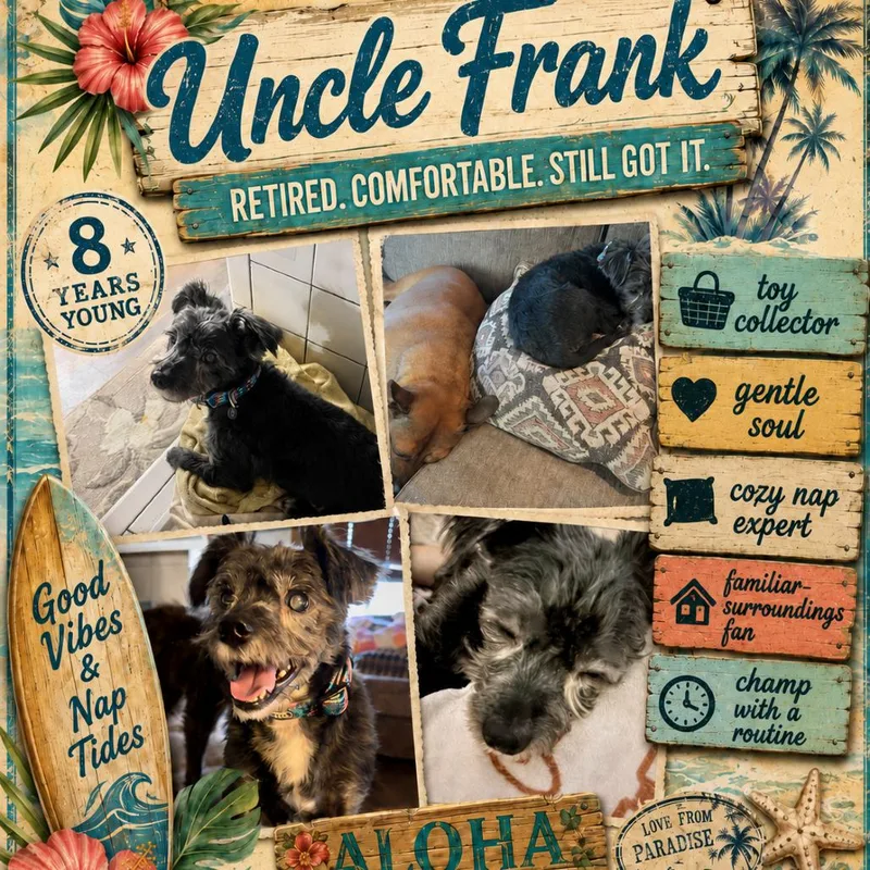 Franklin thumbnail 4