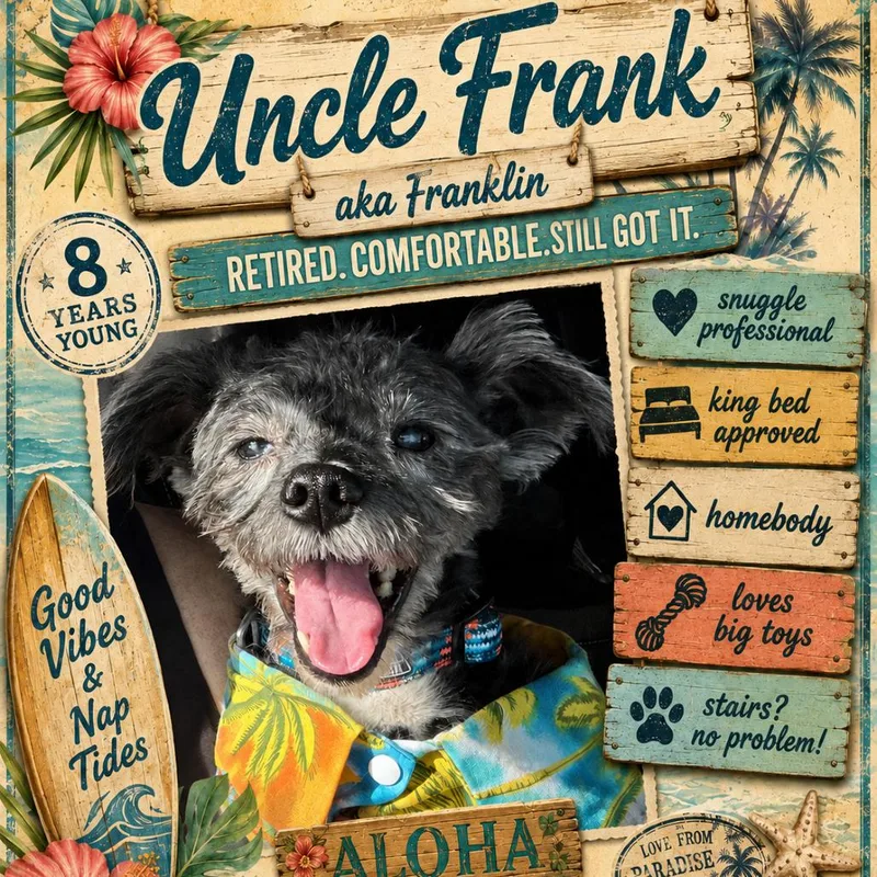 Franklin thumbnail 5