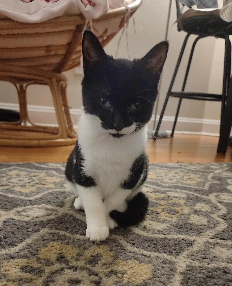 Mochi Teegan thumbnail 2