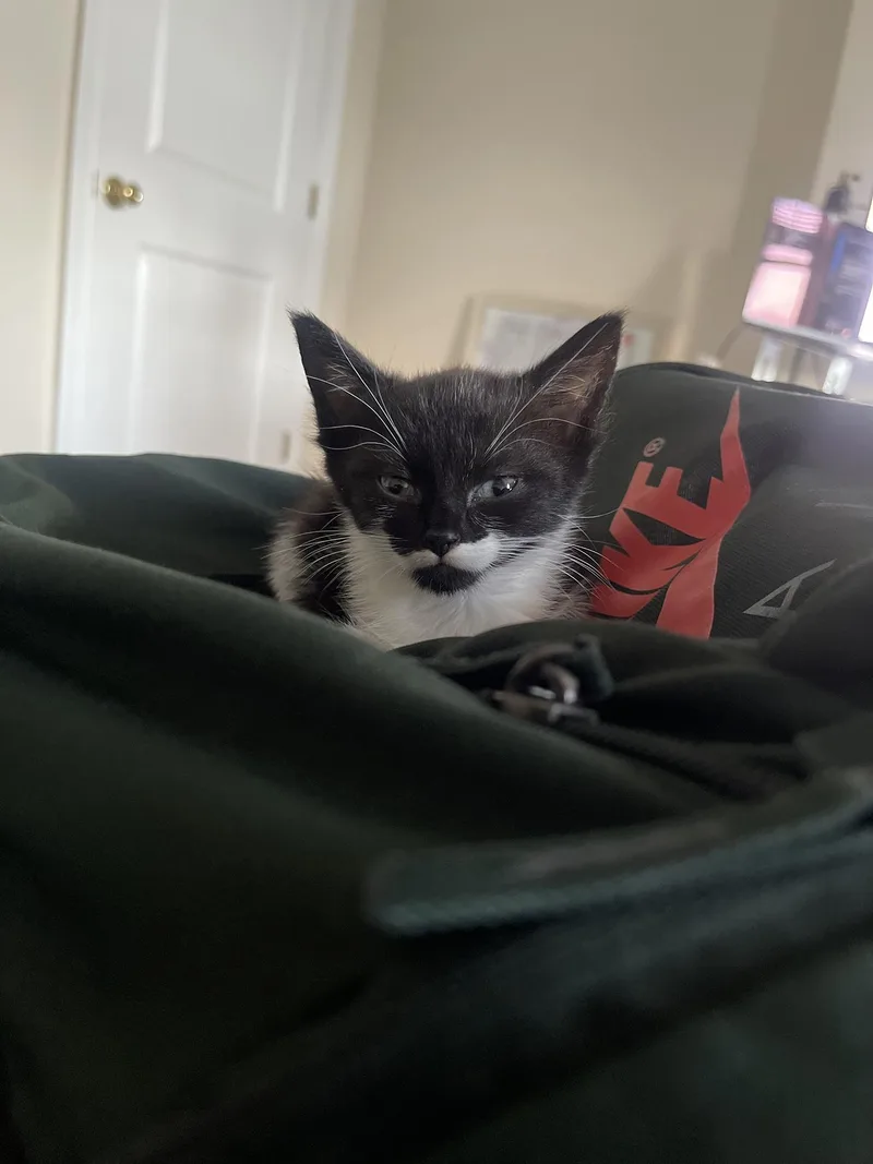 Mochi Teegan thumbnail 3