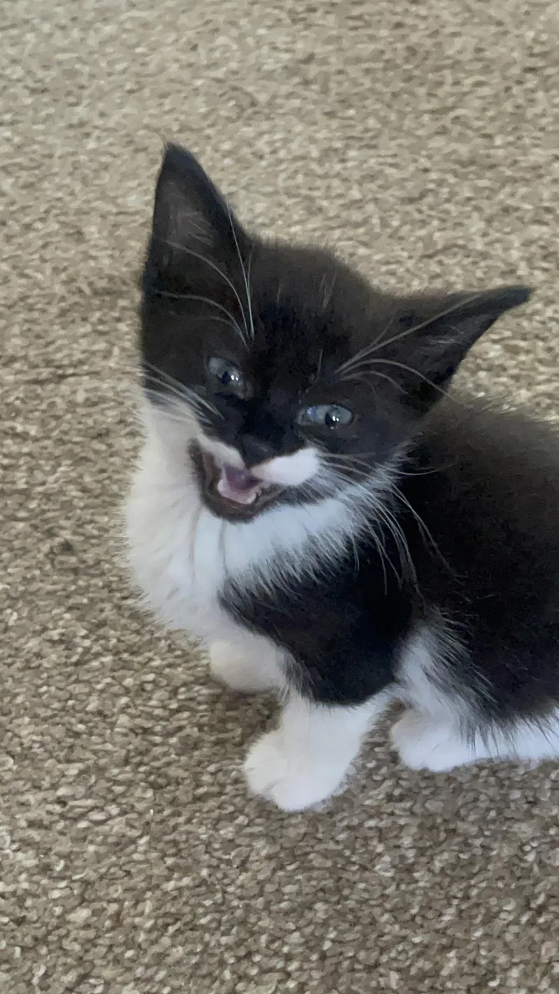 Mochi Teegan thumbnail 6