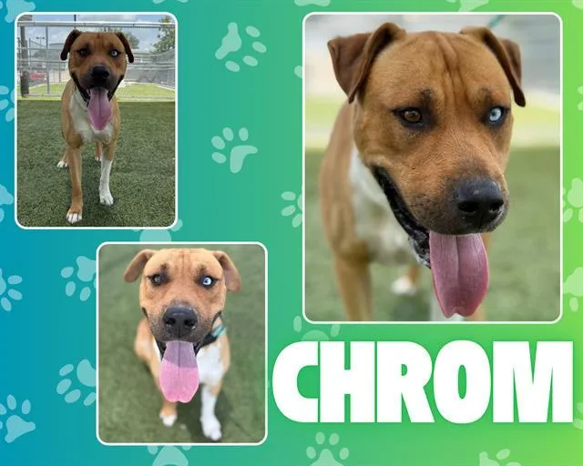 Chrom