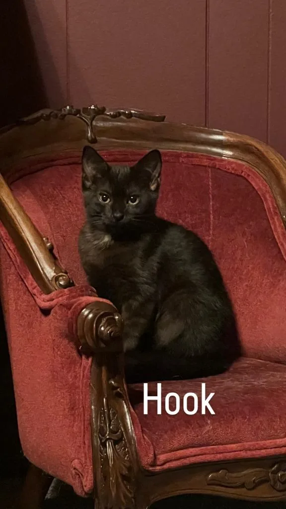 Hook thumbnail 5