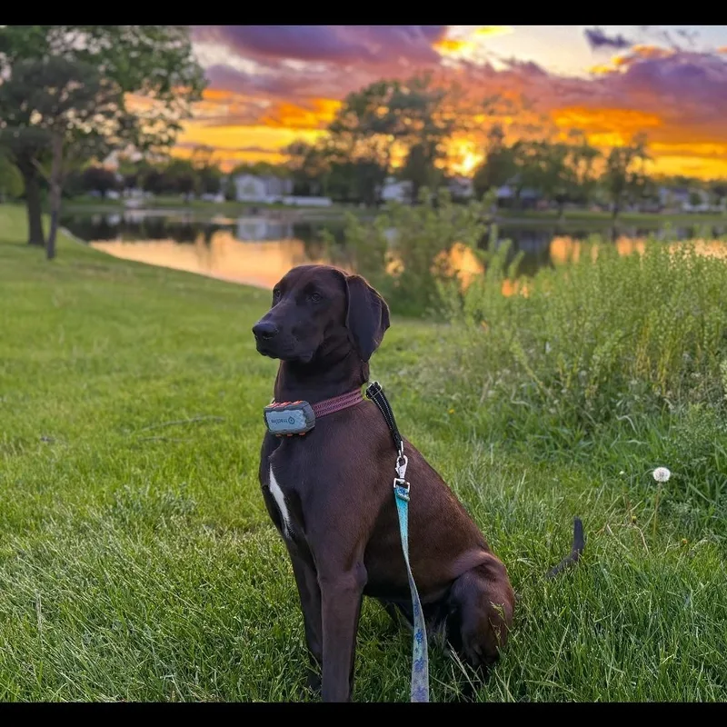 Molly  The Perfect thumbnail 6