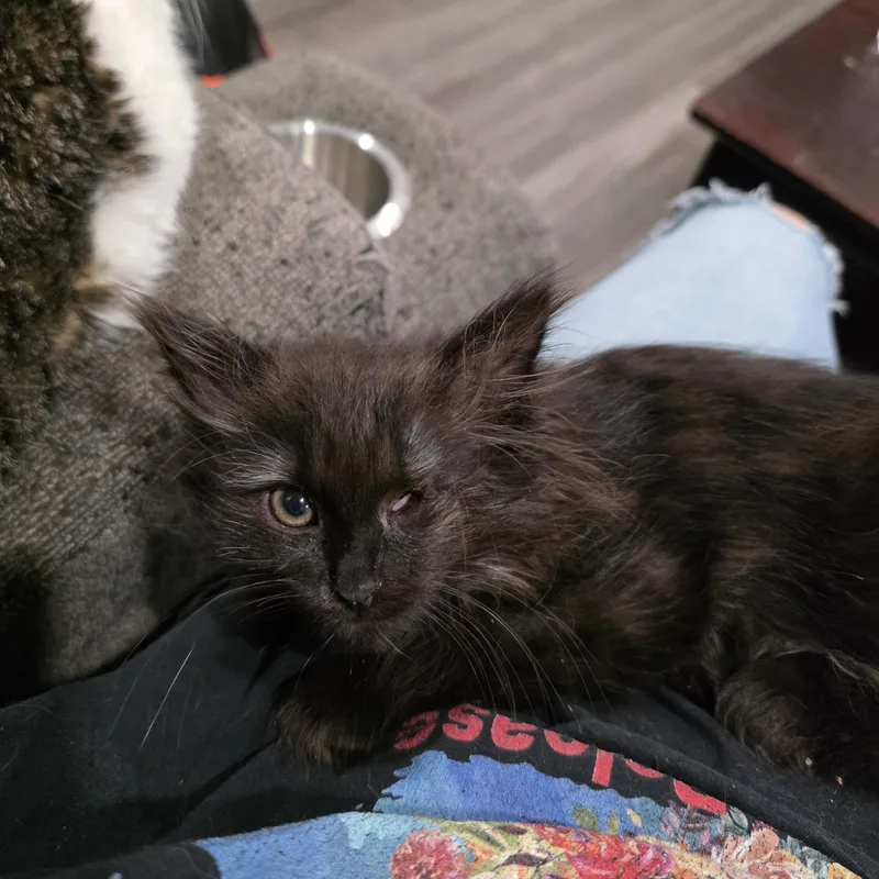 Hera