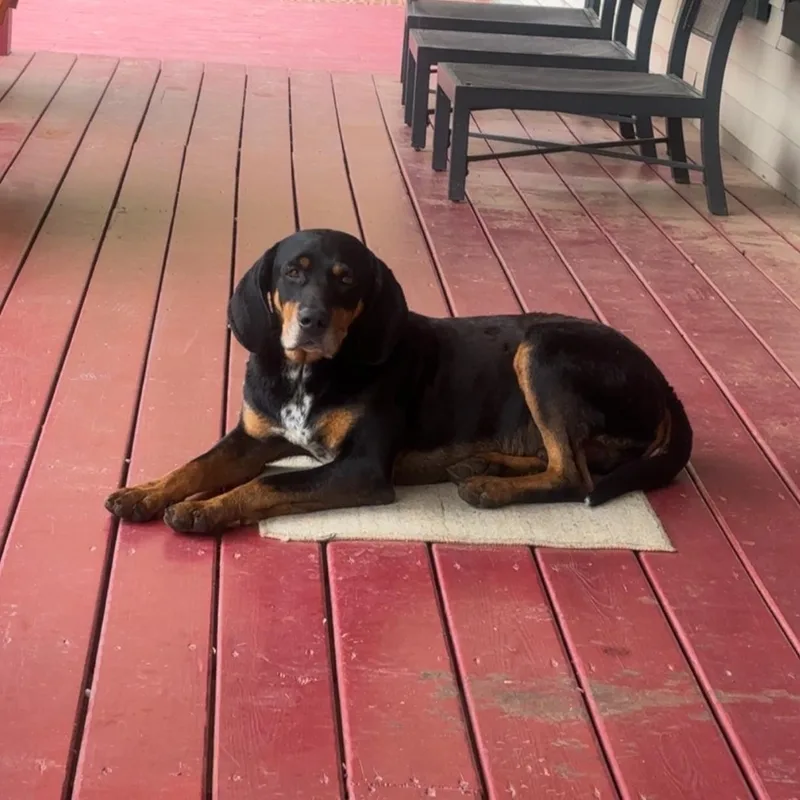 Roscoe Community Post thumbnail 3