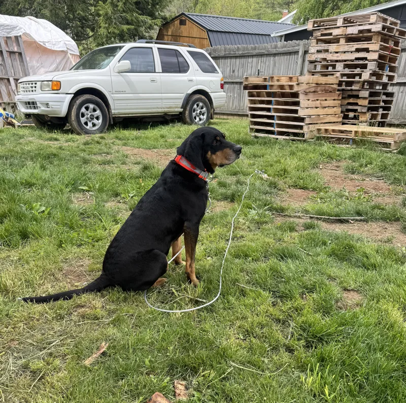 Roscoe Community Post thumbnail 4