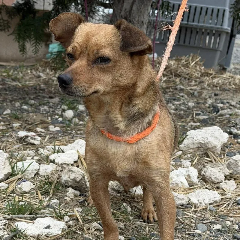 Kiki