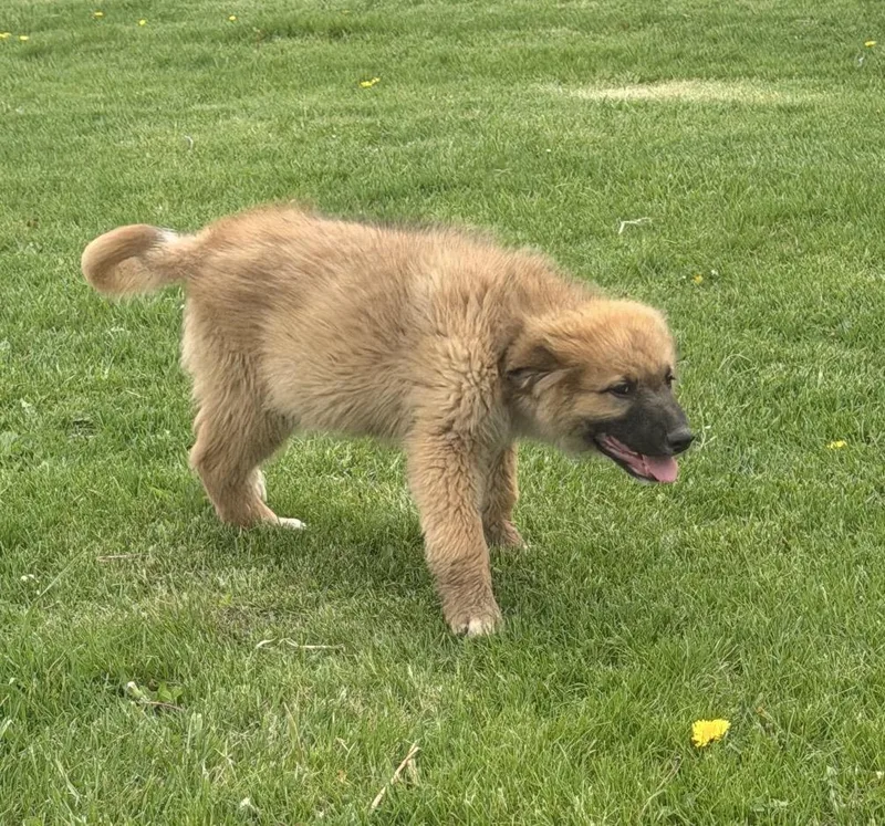 Smithton thumbnail 2