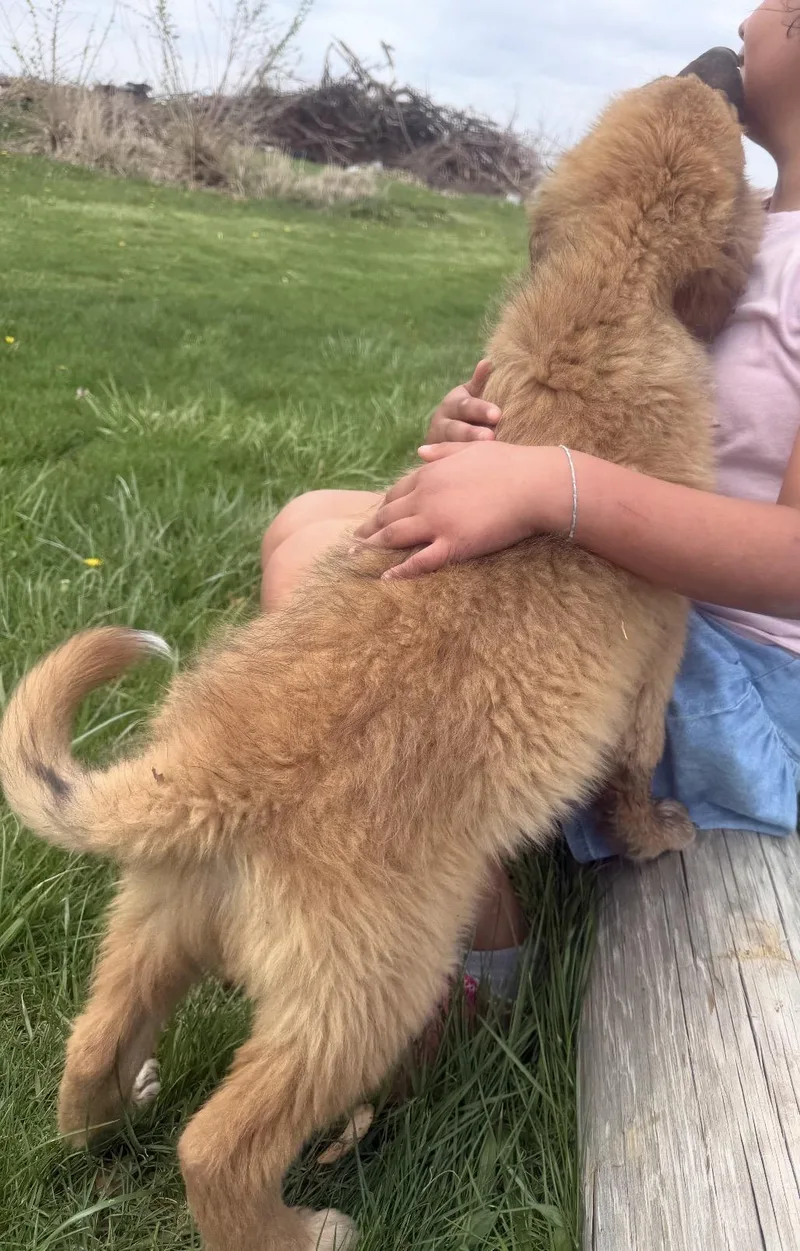 Smithton thumbnail 3