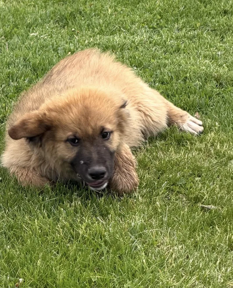 Smithton thumbnail 4