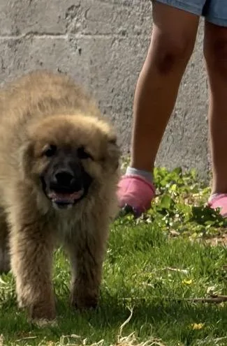 Smithton thumbnail 5