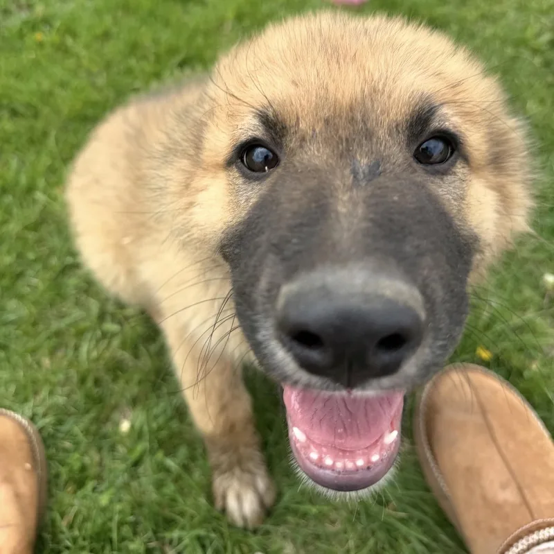 Smithton thumbnail 6