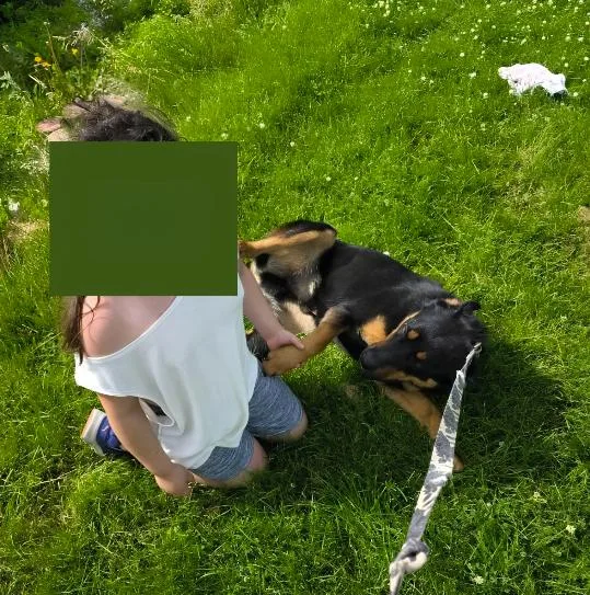 Rocco thumbnail 3