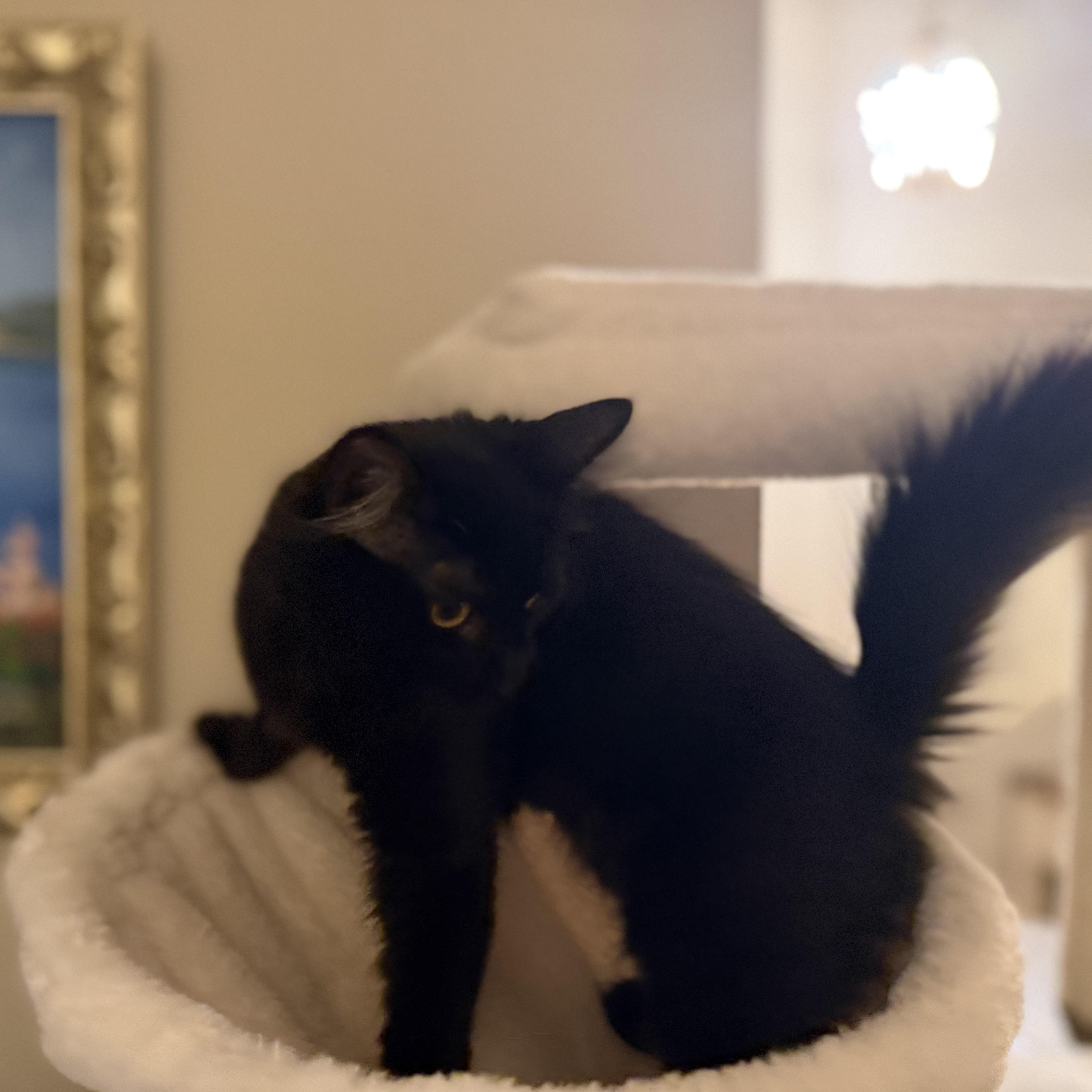 Etta Warwick thumbnail 5