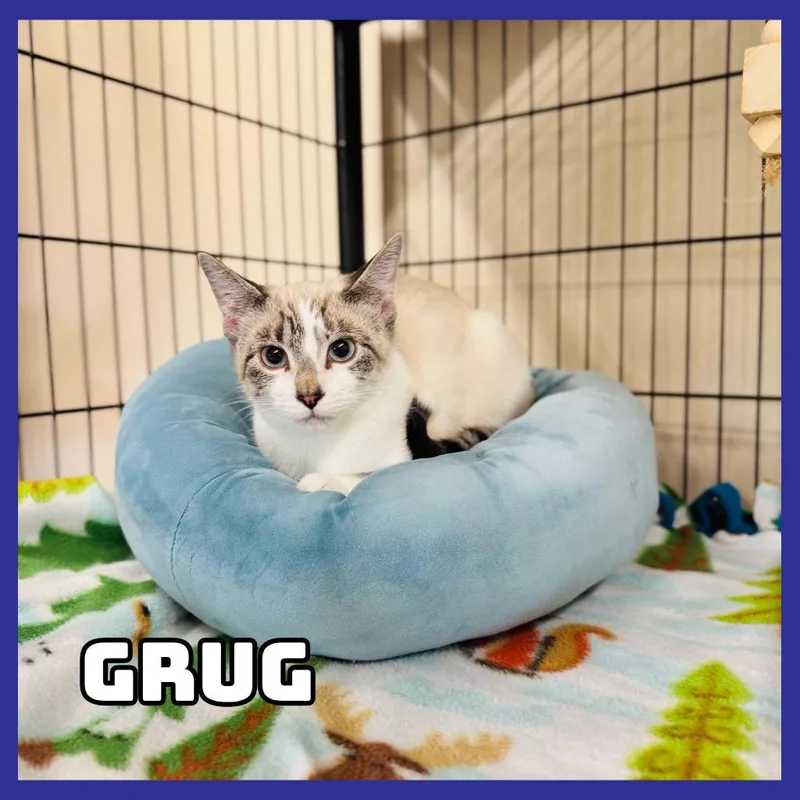 Grug thumbnail 2
