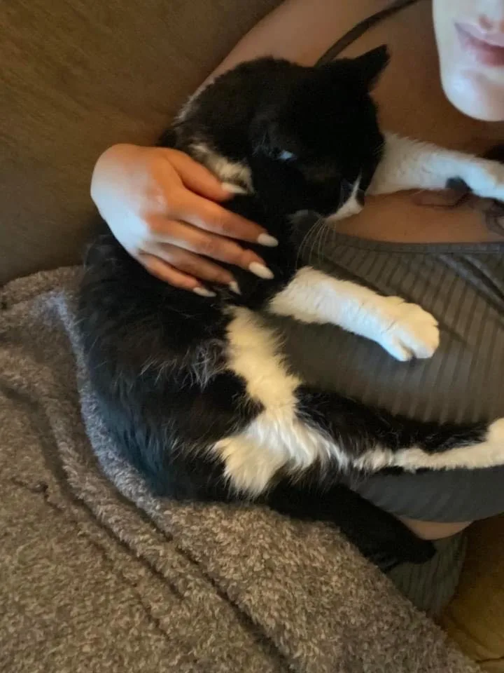 Chay Chay thumbnail 2