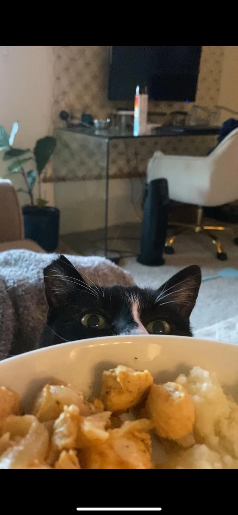 Chay Chay thumbnail 3