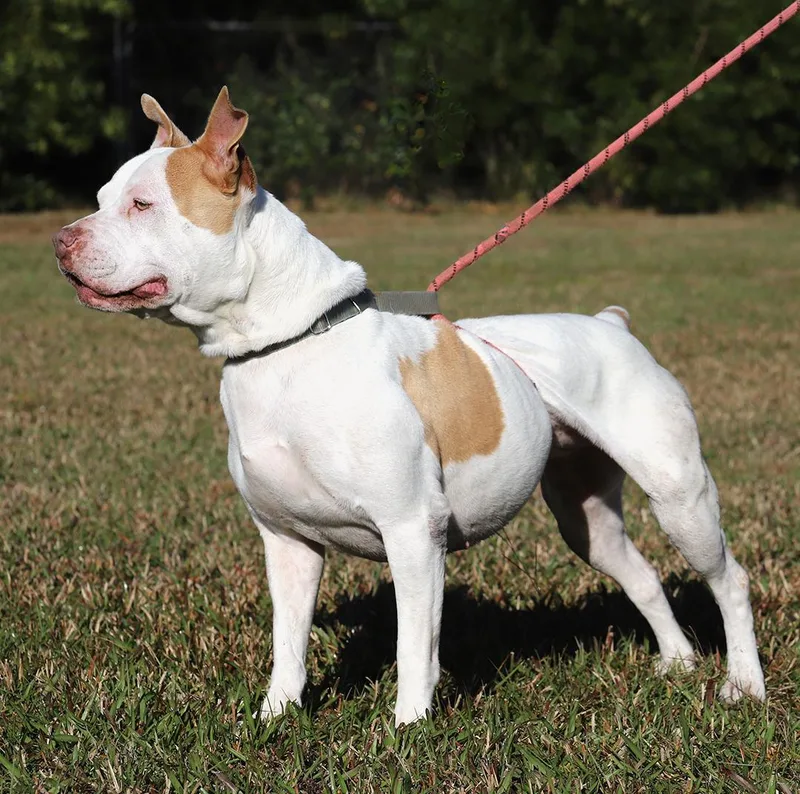 Pretty Lady thumbnail 3