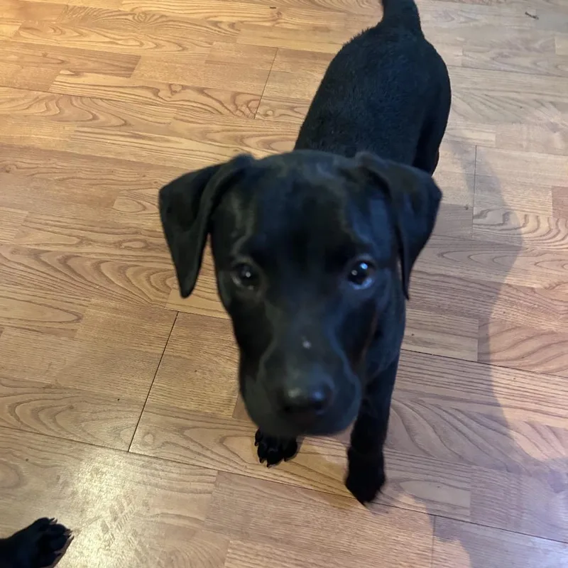 Seancian thumbnail 2