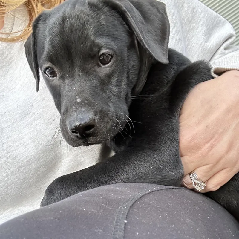 Seancian thumbnail 3